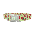 Strawberry Pattern Dog Collar - plastic silver