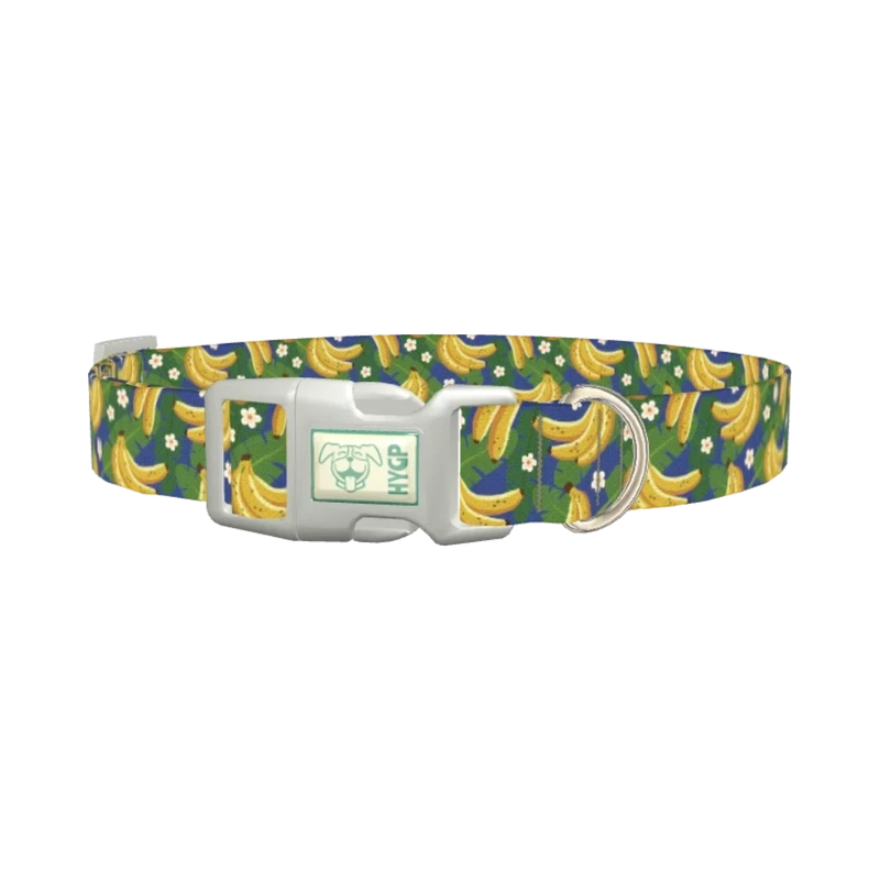 Tropical Banana Leaf Dog Collar - plastic silver