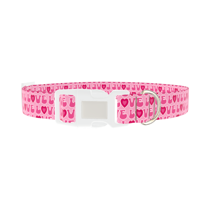 Valentine Heart Dog Collar - plastic silver