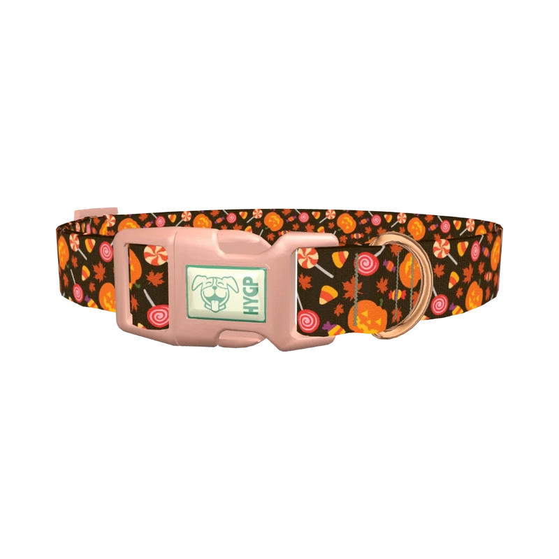 Halloween Candy Pumpkin Dog Collar - plastic rose gold