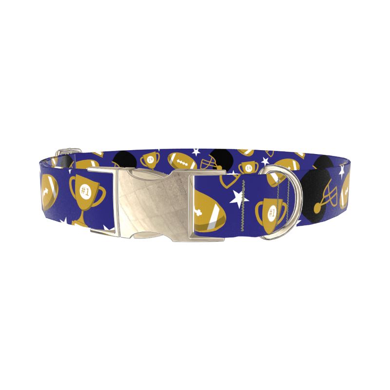 Purple Football Trophy Dog Collar - metal silver