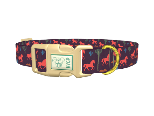 Western Desert Dog Collar