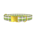 Multicolor Tartan Dog Collar - metal gold