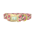 Floral Rose Dog Collar - plastic gold