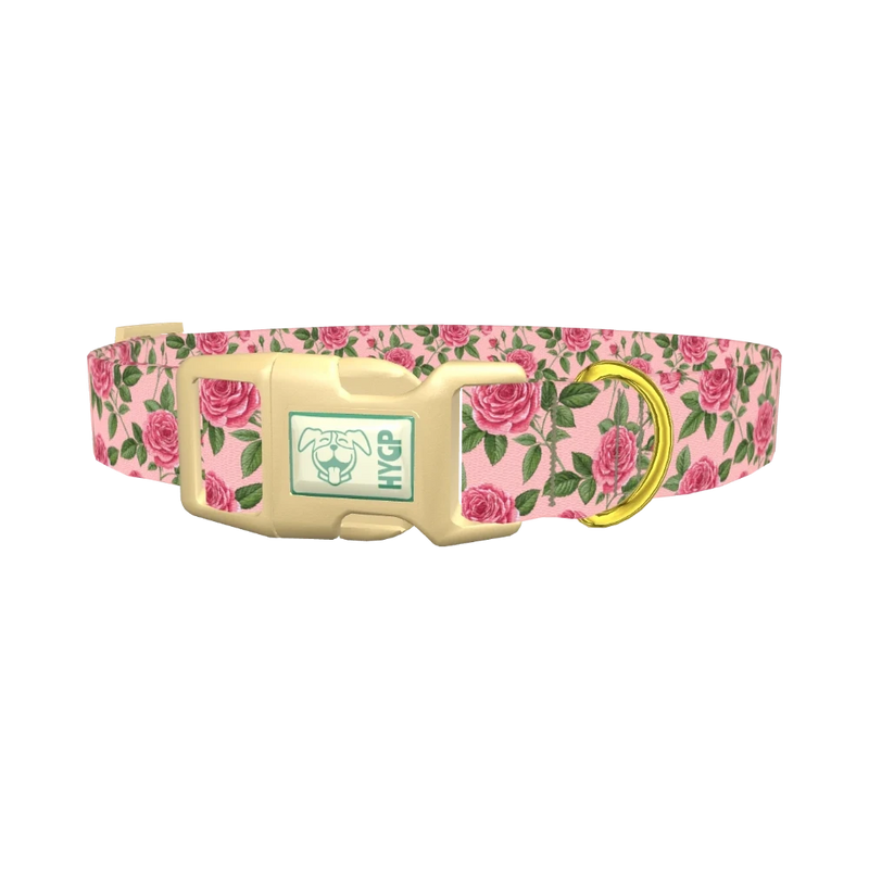 Floral Rose Dog Collar - plastic gold
