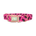 Halloween Coffins Dog Collar - plastic rose gold