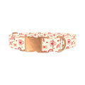 Valentine Mug and Envelope Dog Collar - metal rose gold