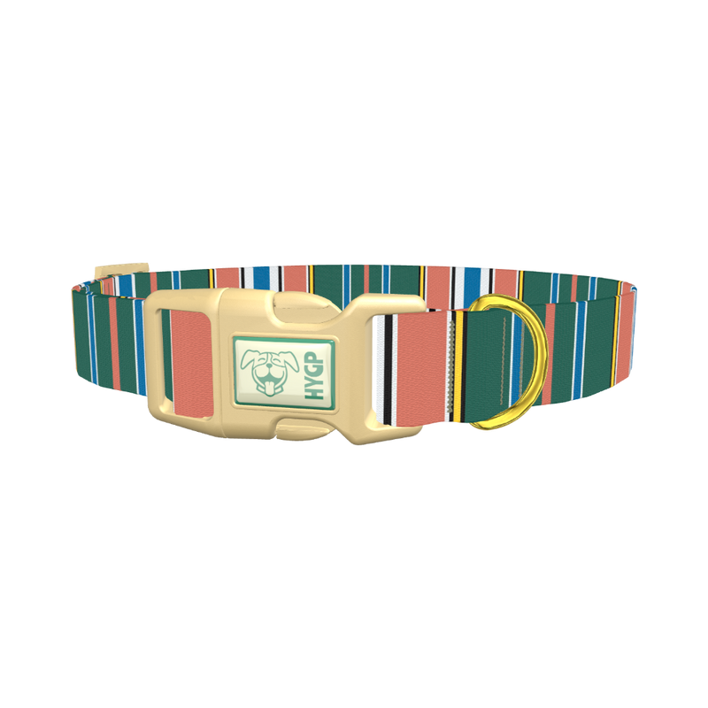 Green Orange Stripe Dog Collar - plastic gold