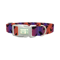 Halloween Bat Dog Collar - plastic silver