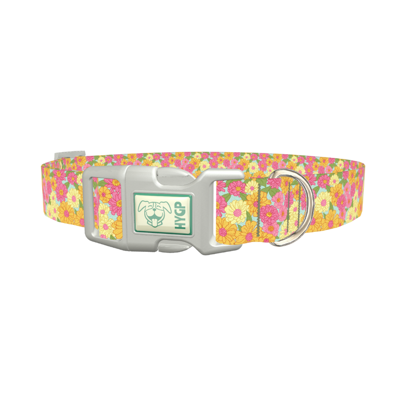 Floral Gerberas Dog Collar - plastic silver