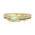 Multicolor Stripes Dog Collar - plastic gold