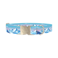 Arctic Mountain Dog Collar - metal silver