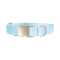 Blue Gradient Dog Collar - metal silver