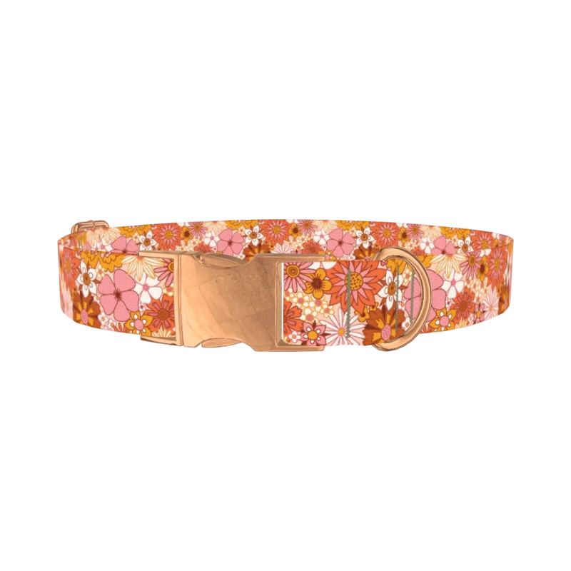 Retro Floral Burst Dog Collar - metal rose gold