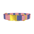 Patriotic American Flag Dog Collar - metal gold