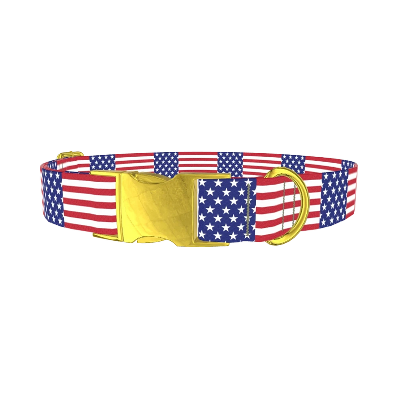 Patriotic American Flag Dog Collar - metal gold