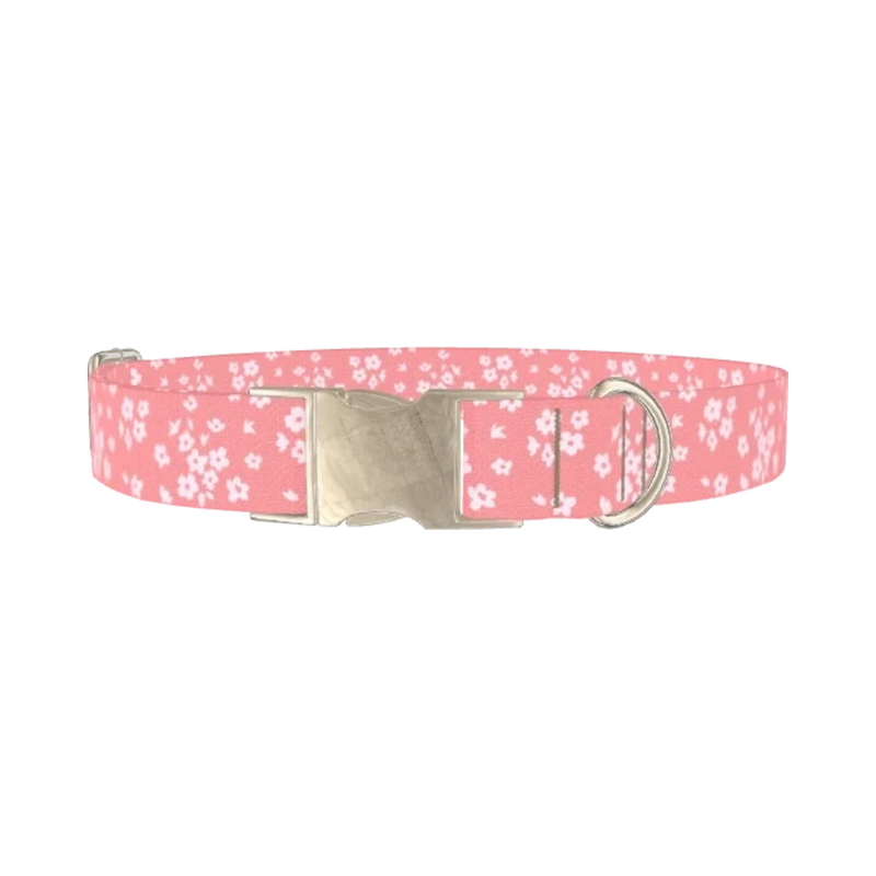 Floral Blossom Dog Collar - metal silver
