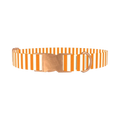Halloween Stripes Dog Collar - metal rose gold