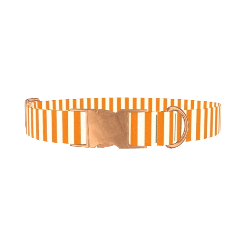 Halloween Stripes Dog Collar - metal rose gold
