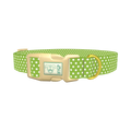Lime Green Polka Dot Dog Collar - plastic gold