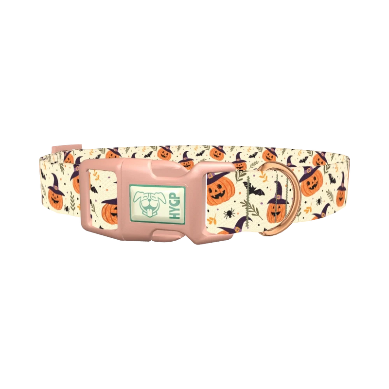 Witchy Pumpkin Halloween Dog Collar - plastic rose gold
