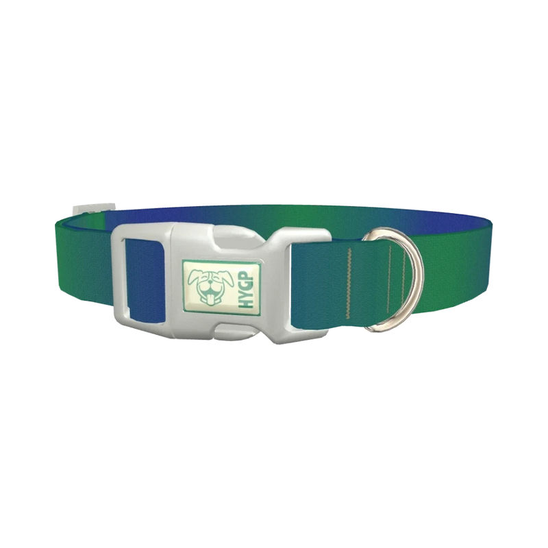 Gradient Blue Dog Collar - plastic silver