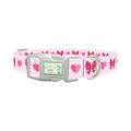 Valentine Ribbon Dog Collar - plastic silver