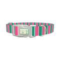 Pink and Green Stripe Dog Collar - plastic silver
