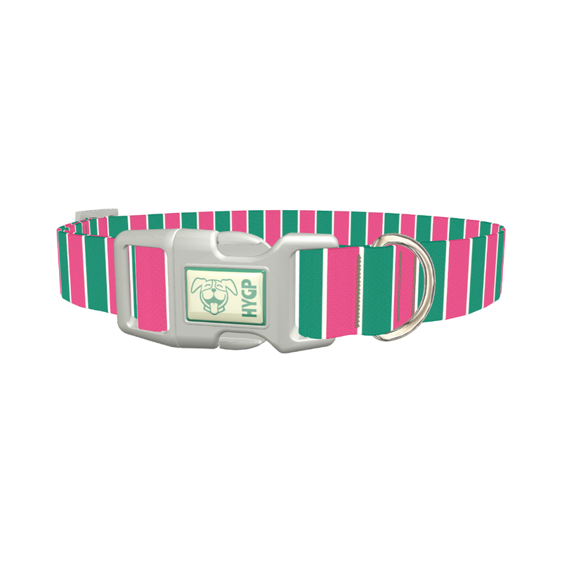 Pink and Green Stripe Dog Collar - plastic silver