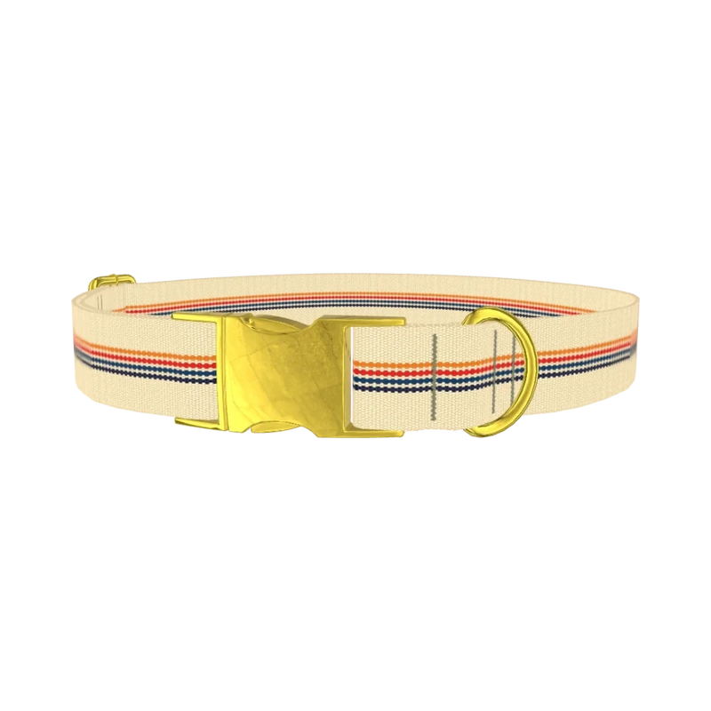 Colorful Hexagon Dog Collar - metal gold