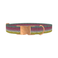Rainbow Trout Pattern Dog Collar - metal rose gold