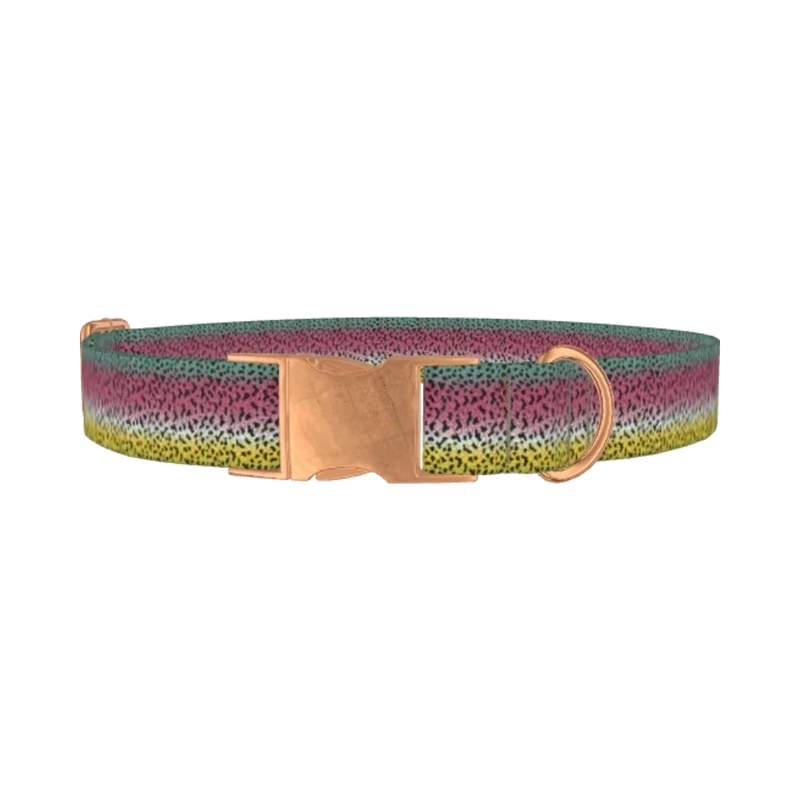 Rainbow Trout Pattern Dog Collar - metal rose gold