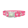 Will You Marry Me Diamond Dog Collar - plastic silver