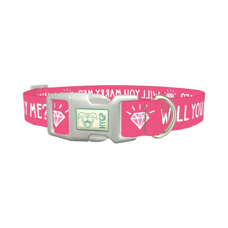 Will You Marry Me Diamond Dog Collar - plastic silver
