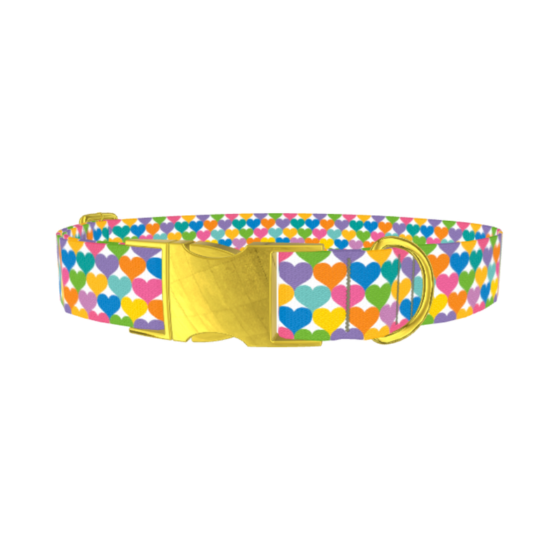 Colorful Heart Dog Collar - metal gold