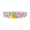 Stars and Stripes Dog Collar - metal gold