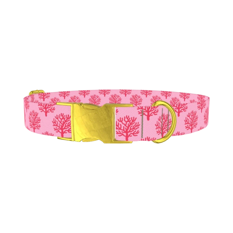Coral Reef Dog Collar - metal gold