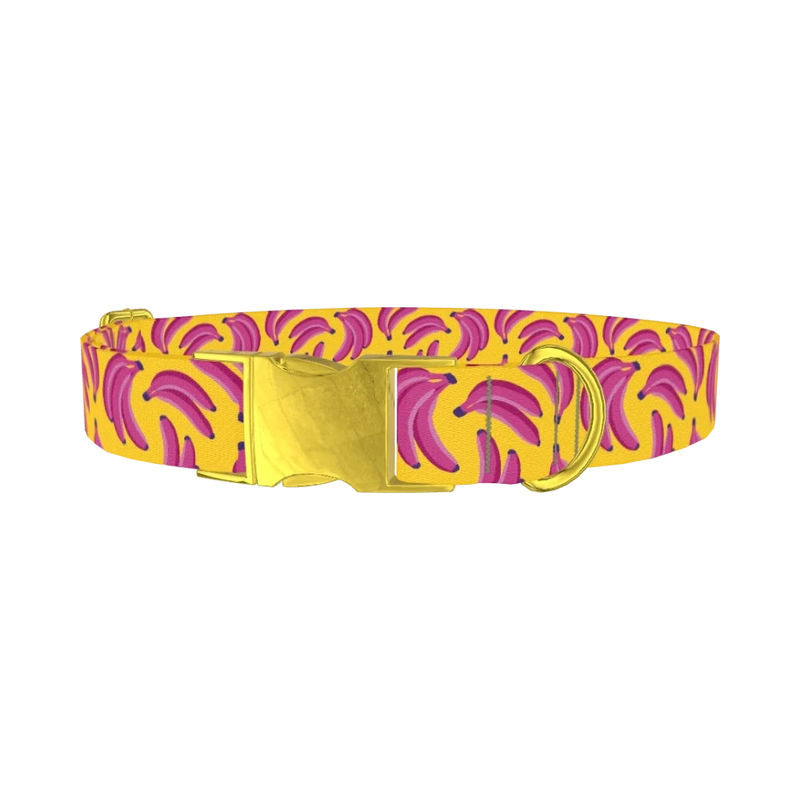 Fruit Banana Dog Collar - metal gold