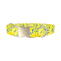 Yellow Abstract Dog Collar - metal silver