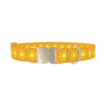 Sunburst Pattern Dog Collar - metal silver