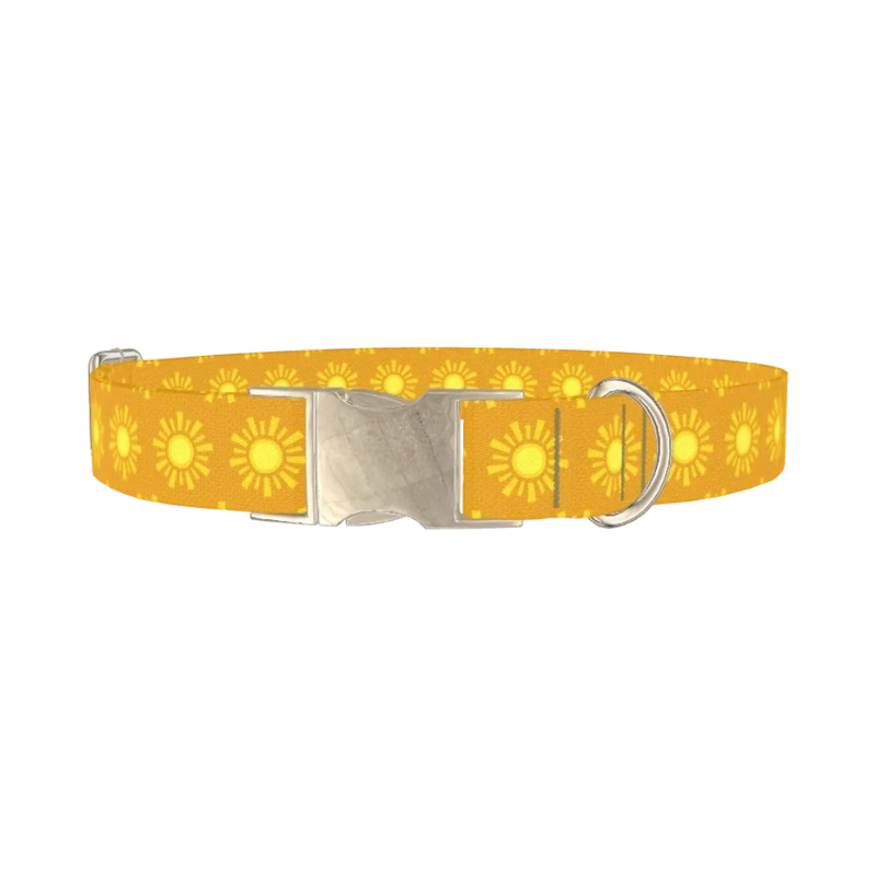 Sunburst Pattern Dog Collar - metal silver