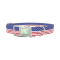 Patriotic Stars Dog Collar - plastic silver