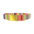 Green Striped Dog Collar - metal gold