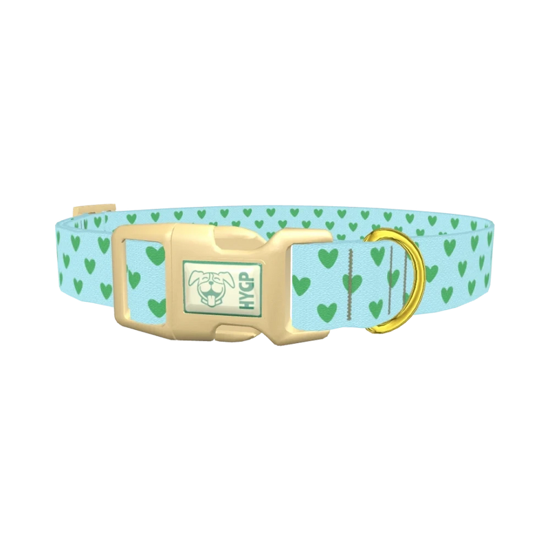 Mint Heart Pattern Dog Collar - plastic gold
