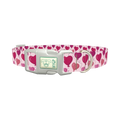 Heart Balloon Dog Collar - plastic silver