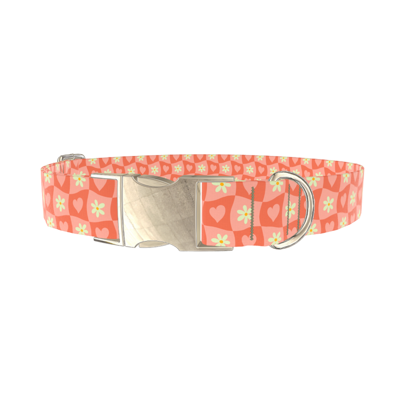 Heart and Daisy Dog Collar - metal silver