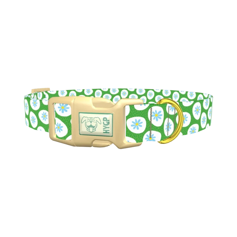 Floral Easter Egg Dog Collar - plastic gold