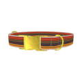 Autumn Stripes Dog Collar - metal gold