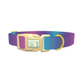 Blue Pink Ombre Dog Collar - plastic gold