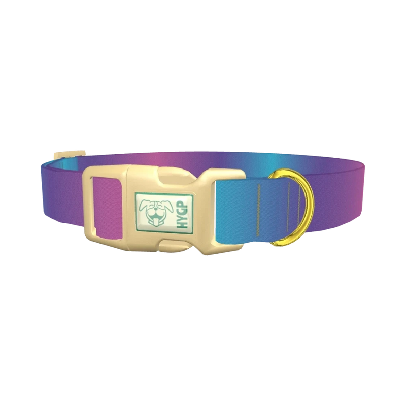 Blue Pink Ombre Dog Collar - plastic gold